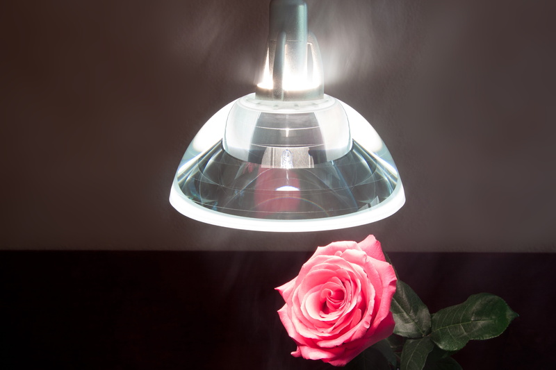 design, flower, no people, thickness, added together, perfume sprayer, pink color, pendant lamp, lighting equipment, luxury, glowing, bright, beauty in nature