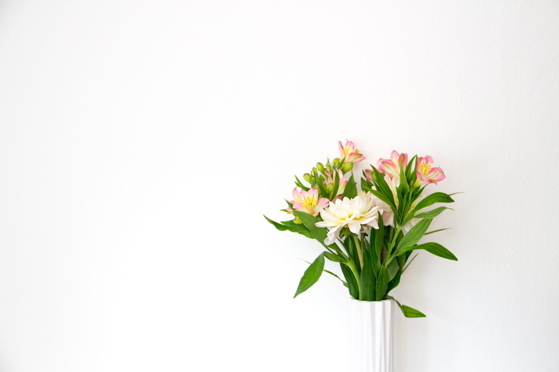 bright, pink, minimalism, cut out, copy space, colorful, beauty in nature, 5K, flowering plant, studio shot, bouquet, fragility, leaf, botanical, green color