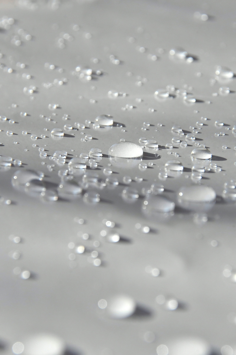 large group of objects, glamour, close-up, abundance, selective focus, white color, still life, water droplets, rain, high angle view, brightly lit, no people