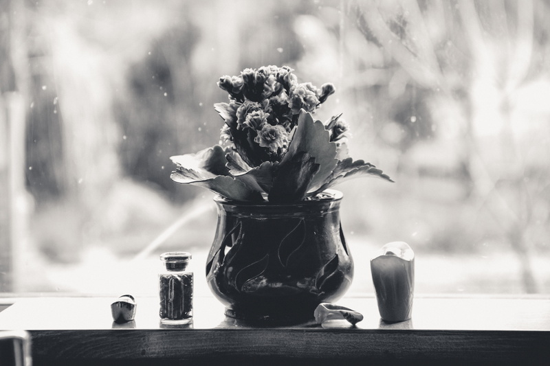 5K, flowering plant, Life, floral, wood - Material, macro, black And White, focus on foreground, life, leaves, Flower, food, jar, table, transparent, close-up