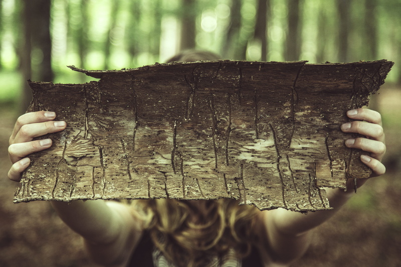 brown, wood - material, wooden, 5K, dried, women, nature, lifestyles, shell, day, one man only, adults only, pattern, real people, obscured face, leisure activity