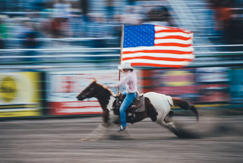 4K, u, patriotism, american flag, white, speed, mammal, flag, domestic animals, movement, outdoors, s, person, domestic, animal, photo, ride, blurred motion