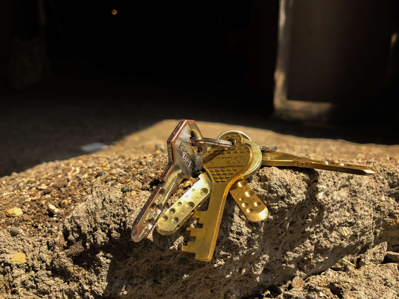 marine, animals in the wild, arthropod, animal body part, land, closeup, animal, animal eye, animal themes, electronic key, outdoors, no people, day, deadbolt
