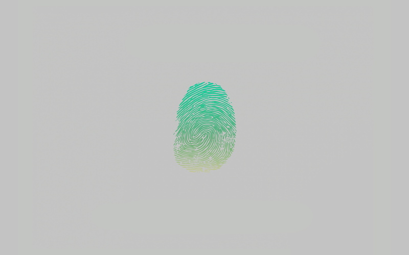 security, pattern, indoors, shape, art, fingerprint, print, 4K, paper, green color, copy space, single object, unlock, green, no people, minimal, studio shot