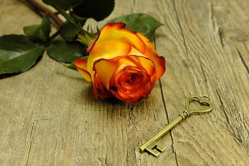 unlock, indoors, bloom, gold, romantic, nature, skeleton, plant, no people, inflorescence, flowering plant, close, fragility, bunch of flowers, heart, blossom