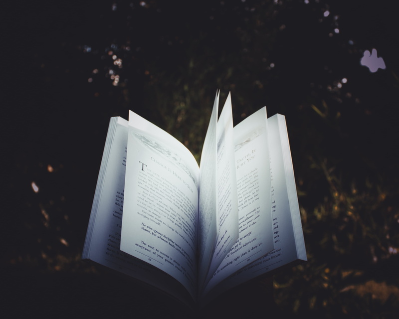 facts, learn, study, communication, pages, university, still life, novel, research, wisdom, text, knowledge, page, 2K, school, story, paper, heart shape