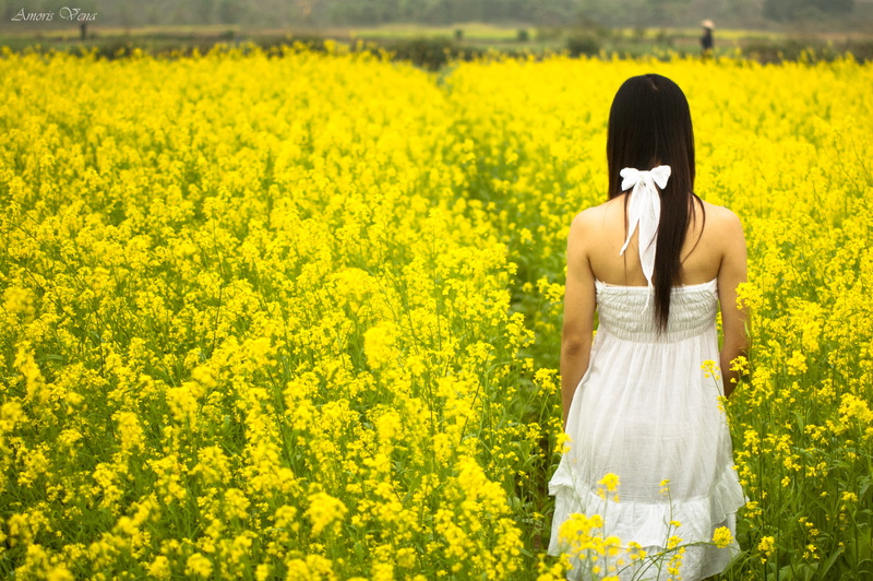 widescreen, white, yellow, fullscreen, women, full screen, halterneck, brunette, dress, field, the sun, open, background, girl, s, summer, 2K