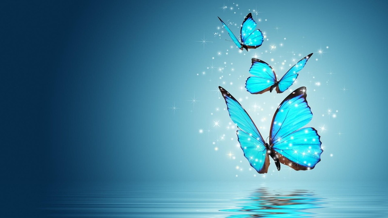 abstraction, butterfly, water, 1080P, art, neon, evening, abstract