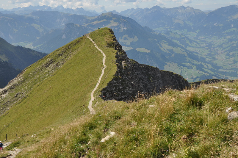 outdoors, environment, tree, grass, scenics - nature, Summit, day, tranquil scene, switzerland, non-urban scene, trail, land, road, idyllic, landscape