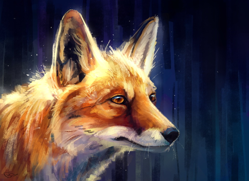 animal, fox, animal body part, animal themes, indoors, fun, pets, domestic, animal head, snowing, close-up, looking, one animal, mammal, no people, cold temperature