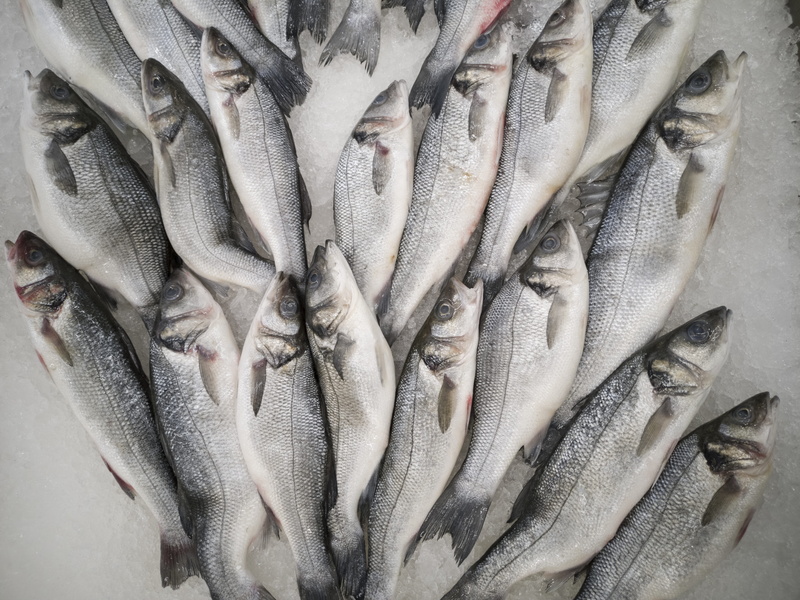 retail, macro, produce, retail display, still life, health, wellbeing, 5K, natural, no people, backgrounds, fresh, fish, healthy, raw, healthy eating