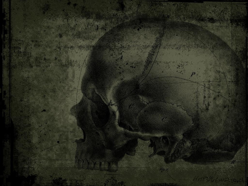 artwork, textured effect, 480P, wall - building feature, healthcare and medicine, backgrounds, close-up, damaged, abstract, stained, skull, old, grunge
