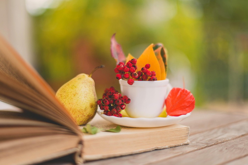 autumn, day, afternoon, leaf, nature, leaves, berries, fall, 1080P, book, cup-saucer, pears