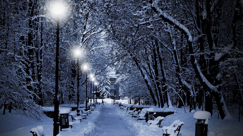 outdoors, weather, no people, chill, january, ice, bare tree, forest, extreme weather, frozen, trees, night, snowing, cool, nature, seasonal, season, illuminated