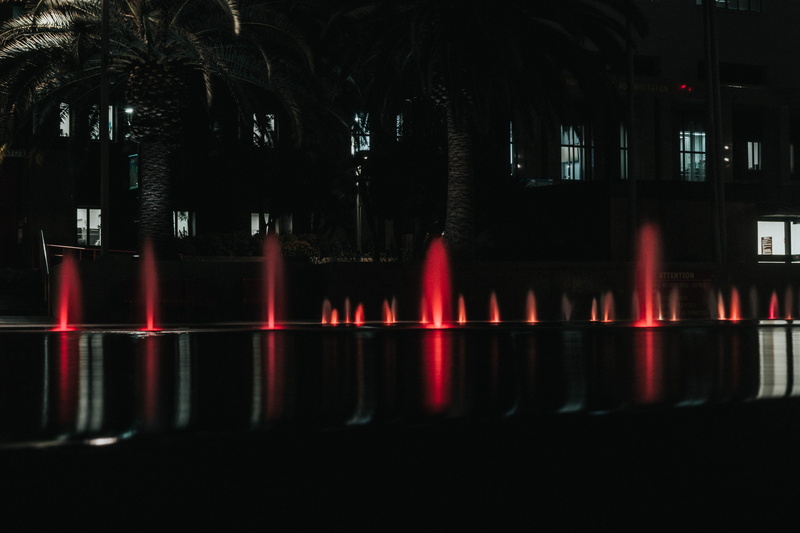 united states, spirituality, candle, tree, portrait, night, illuminated, long exposure, female, reflection, architectural column, dark, la, architecture