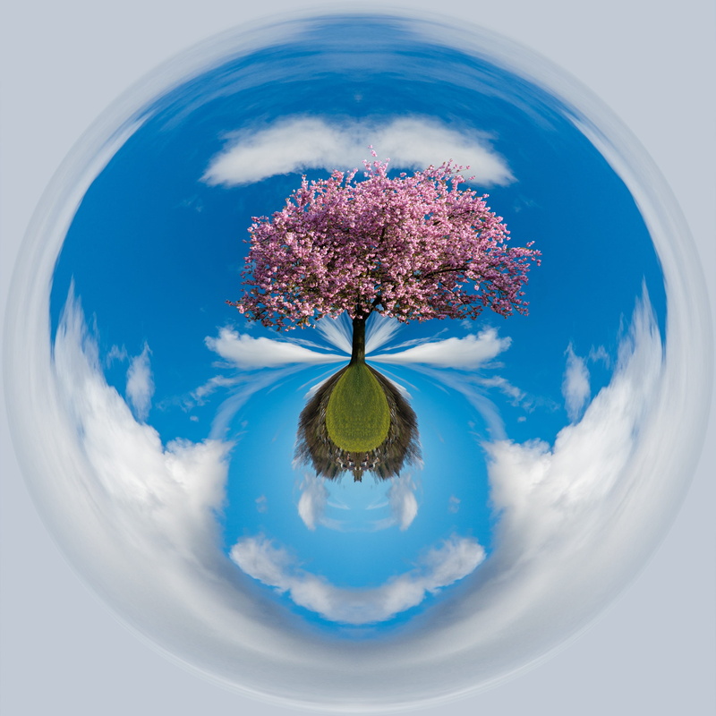 tree, sphere, vulnerability, digital composite, freshness, fish-eye lens, flowering plant, 2K, environment, fragility, blue, outdoors, beauty in nature