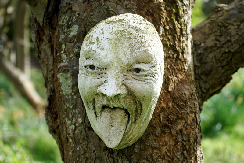 evil, close-up, creepy, dark, craft, tree trunk, representation, day, nature, textured, shock, face, 4K, no people, woods, focus on foreground, trunk