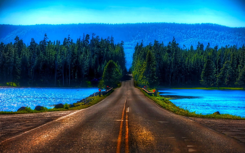 journey, animals, lakes, dreams, 1080P, blue, forest, road