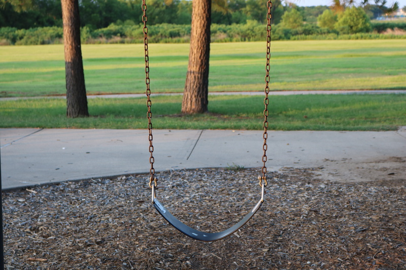 fun, childhood, plant, Outdoors, Play, grass, no people, park, play ground, metal, summer, recreation, empty, kindergarten, rope swing, Swing, day, field
