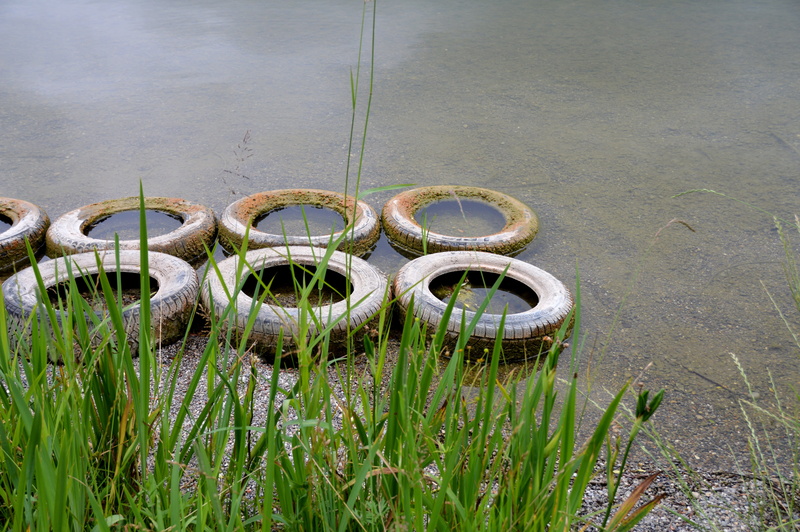 lake, recycling, land, environmental protection, beauty in nature, used, tire, Mature, beach, outdoors, altreifen, bank, Environment, wheel, green color