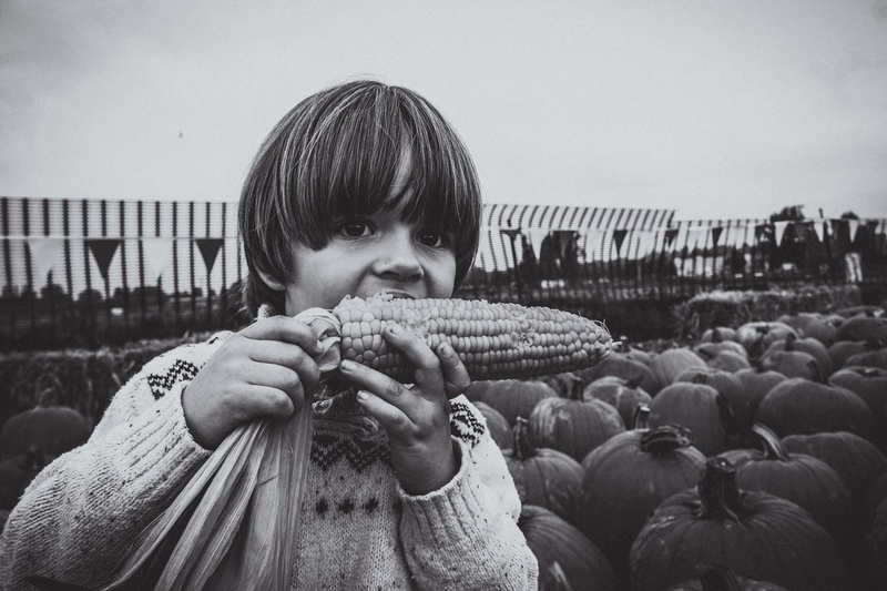 boys, real people, front view, corn, headshot, sky, autumn, little, looking at camera, boy, males, grayscale, holding, childhood, day, baby boy, innocence