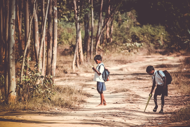 children, leisure Activity, recreational Pursuit, walking, near, plant, exercising, offspring, outdoors, woods, adult, healthy Lifestyle, road, kid, running