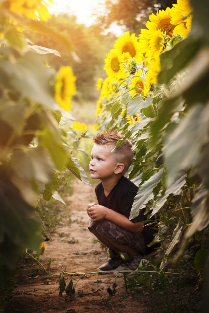 summer, beside, sunny, one boy only, fun, playing, boy, sitting, happy, outdoors, looking, plant, leisure activity, boys, men, children only, males, 4K