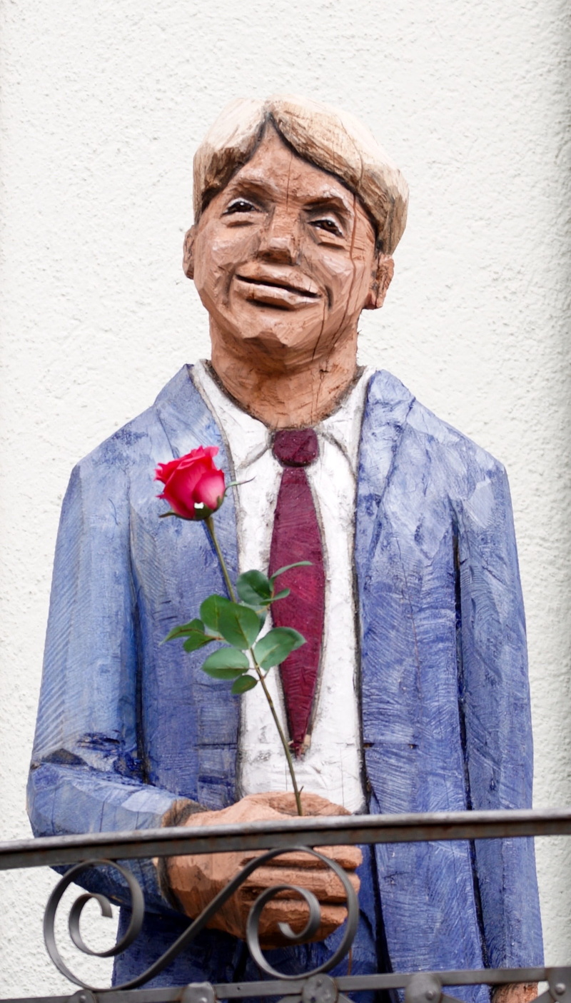 suit, emotion, portrait, mimic, one person, request, red, retirement, gestures, rose, rose - flower, plant, positive emotion, happiness, gentleman, flowering plant