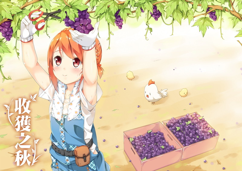 original, red, request, eyes, gloves, hair, hatsunatsu, food, short, braids, orange, fruit, animal, translation, 720P