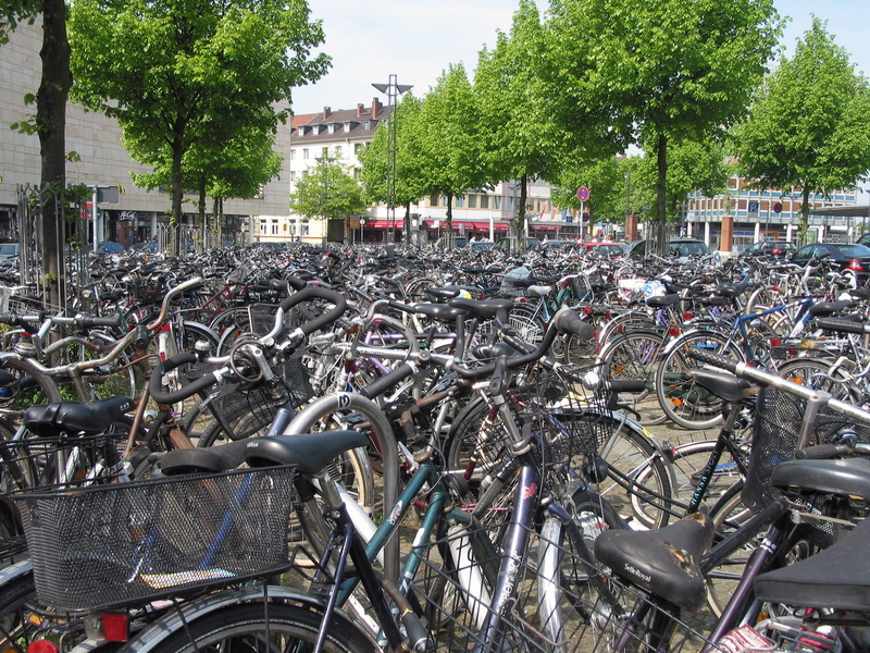 bicycles, no people, bicycle tour, two wheeled vehicle, architecture, bicycle rack, tree, traffic, mode of transportation, parking, consideration, fahrradklau