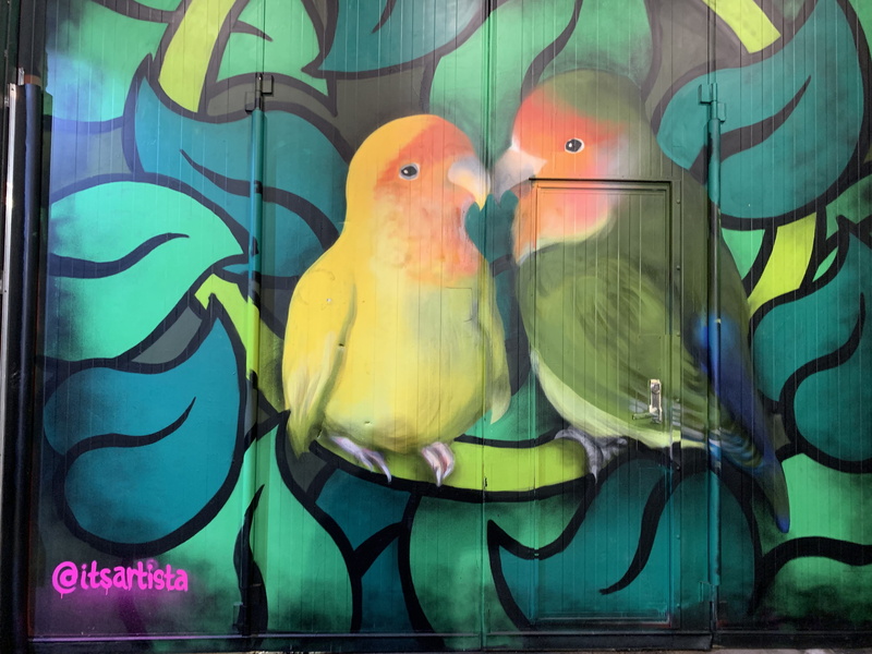 yellow, parrot, art and craft, art, wall, no people, animal, indoors, graffiti, drawing, green color, animal wildlife, stained glass, modern art, vertebrate