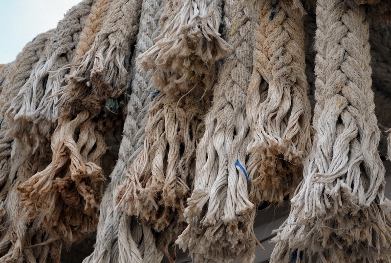 tree, rock, pattern, day, backgrounds, outdoors, bird, nautical rope, animal themes, strength, texture, textured, focus on foreground, low angle view, ship accessories