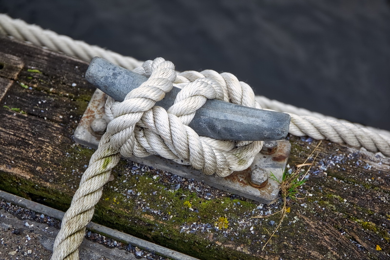 fish, strength, knotted, durability, coast, metal, day, anchorage, clouds, web, seagull, white, wood - material, tied up, fishing boat, cleat, buoys, wood