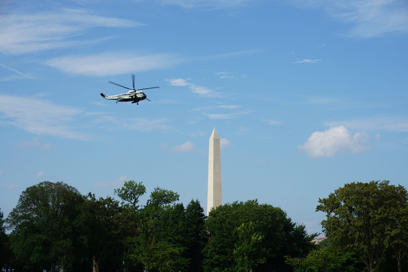 day, city, vehicle, urban, on the move, no people, tree, airliner, black, aerospace industry, architecture, travel, bird, tower, mode of transportation
