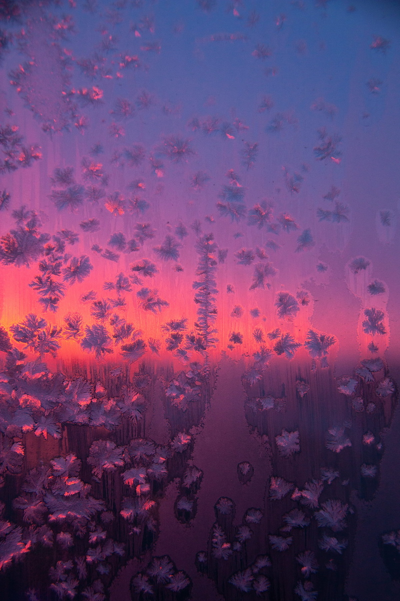 fractal, sunset, geranium, painting, blossom, tranquility, rug, tranquil scene, purple, cloud - sky, pattern, growth, petal, art, no people, photo, flower