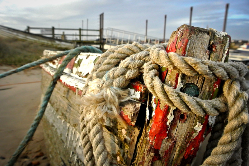 water, life buoy, pollution, spiral, railing, grand theft auto, durability, tribe, mammal, window, sea, nautical vessel, invertebrate, tied up, outdoors