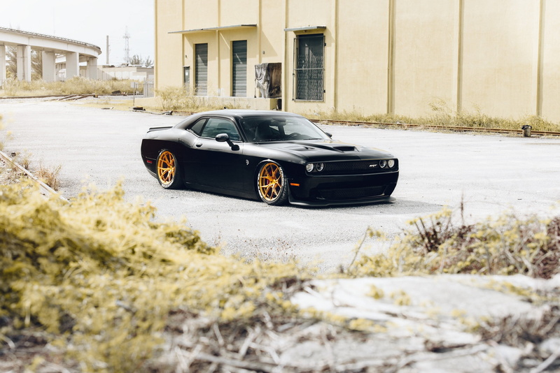 Challanger, built structure, land vehicle, Dodge, mode of transportation, nature, luxury, Rohana, Wheels, architecture, city, selective focus, 1080P, Black