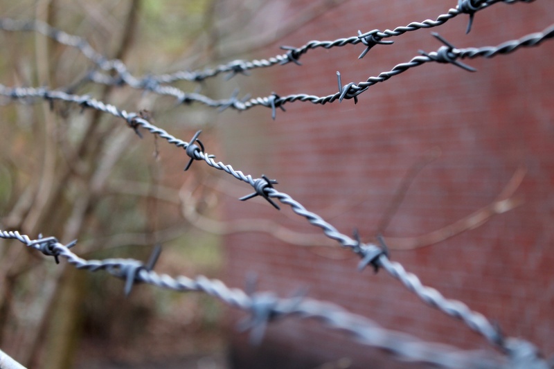 spiked, sign, warning sign, security, tiefenschärfe, close-up, outdoors, barbed wire, barrier, fence, focus on foreground, nature, protection, communication