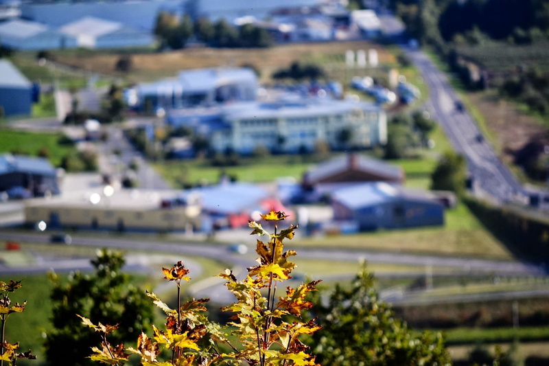 building exterior, field, vulnerability, building, architecture, leaf, landscape, plant, Out Of Focus, selective focus, no people, tiefenschärfe, city