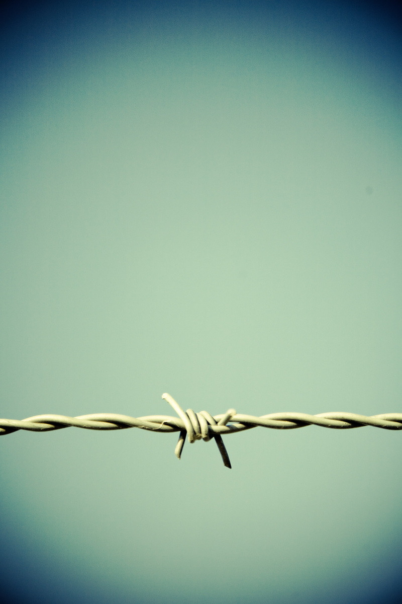 limit, caution, close-up, connection, barbwire, prison, barrier, thorn, security, protection, boundary, no people, risk, tiefenschärfe, 4K, metal, close