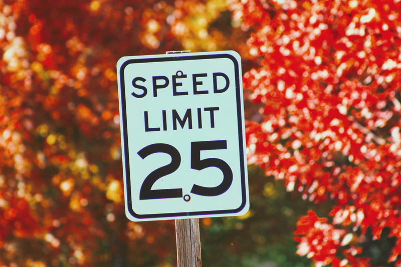 speed limit, autumn, outdoors, limit, wood post, leafe, road sign, text, western script, communication, word, focus on foreground, sign, 25, black, disabled sign