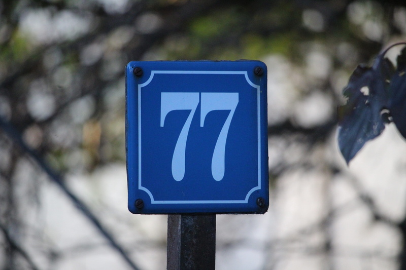 disabled sign, disabled access, representation, human representation, house number, photography, blue, seventy-seven, plant, tree, communication, close-up