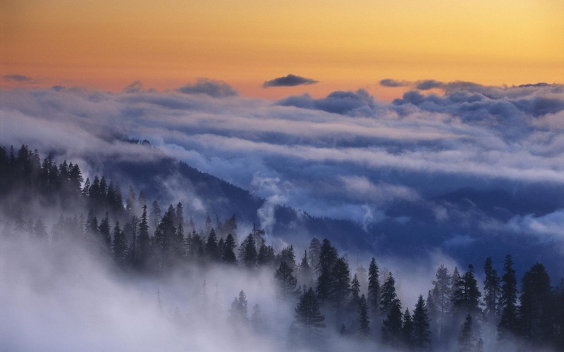 sunrise, national, yosemite national park, mist, morning, forest, yosemite, landscape, mountain, 720P, park