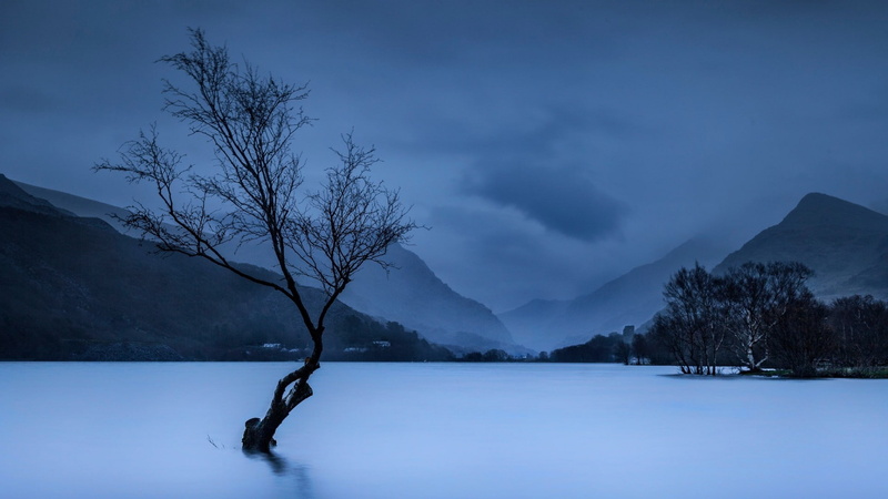 cold temperature, scenics - nature, outdoors, mist, trees, tranquility, non-urban scene, clouds, mountains, evening, tree, lake, plant, tranquil scene