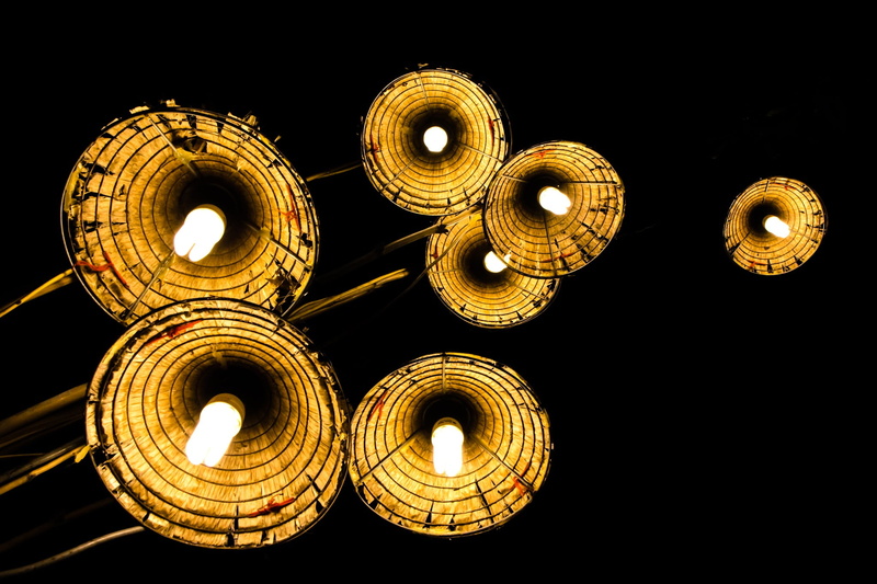 light, indoors, flower, black background, glowing, light - natural phenomenon, dark, circle, directly below, no people, page, home, heat - temperature