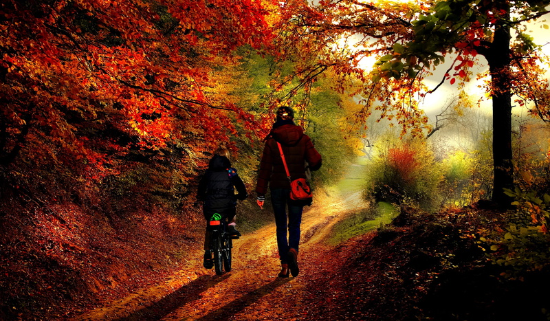 women, mother and daughter, female, mom, real people, day, together, family, full length, nature, growth, togetherness, outdoors, kid, happiness, girl