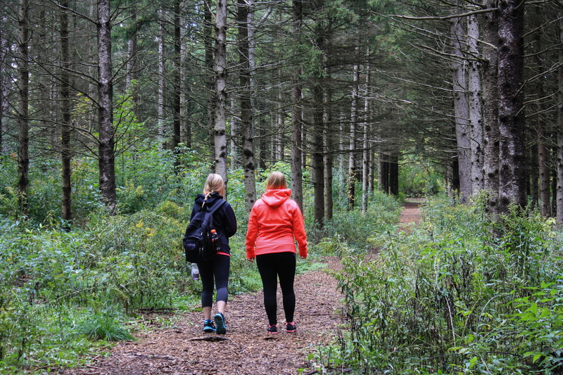 trees, leaves, clothing, land, path, adult, tree, woods, healthy lifestyle, day, togetherness, two, nature, backpacker, women, autumn, sisters, walking