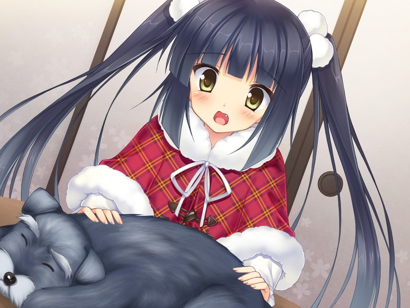 mammal, casual clothing, Girl, seat, sitting, domestic animals, human representation, domestic, Brunette, leisure activity, day, women, Sakura no reply