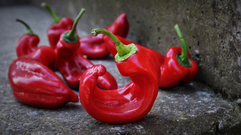 components, red, raw, diet, vitamins, food and drink, wellbeing, no people, crispy, healthy, chili pepper, pepper - vegetable, tasty, red bell pepper, eat