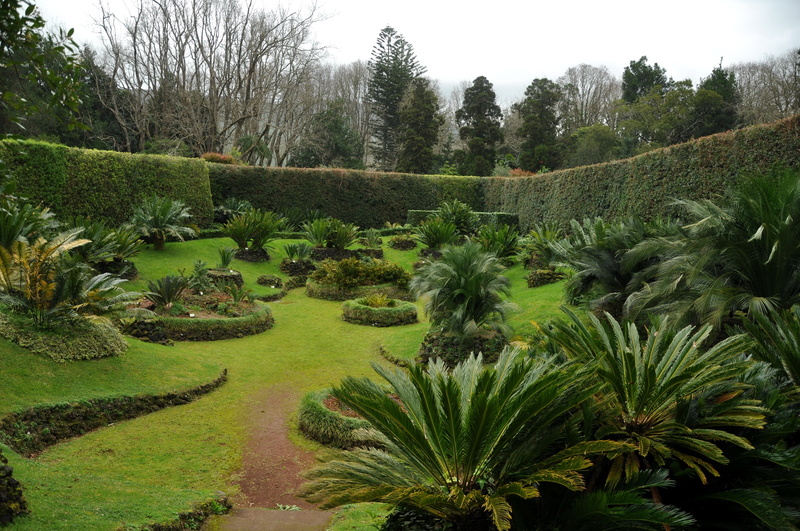 hedge, scenics, outdoors, formal Garden, leaf, ornamental Garden, agriculture, tranquil Scene, garden path, field, green, plant, asia, rural Scene, nature